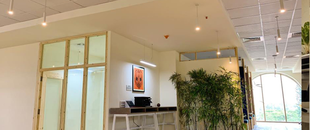 Individual desks at SproutBox Mysore for focused work in a vibrant coworking space.