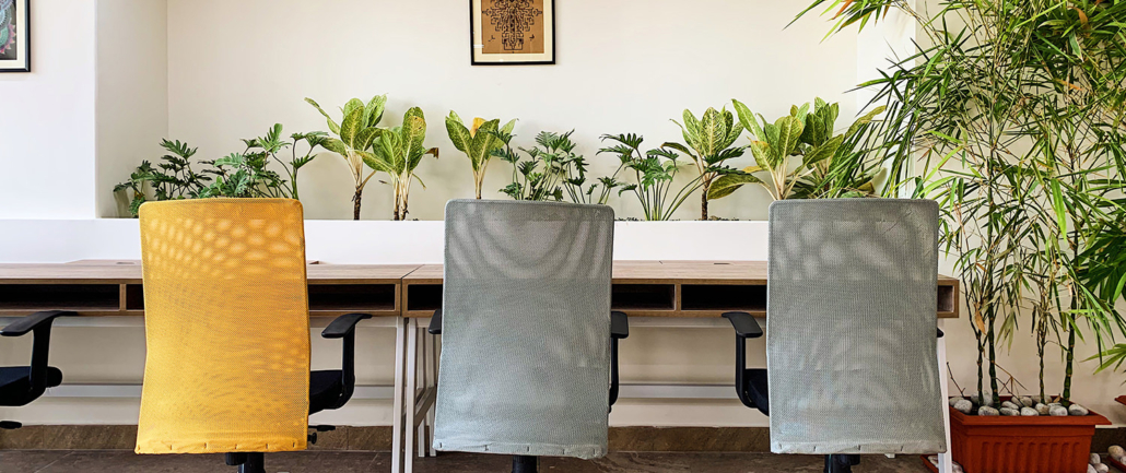 SproutBox Community